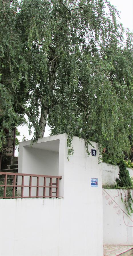 Apartment B&S Belgrad Exteriör bild